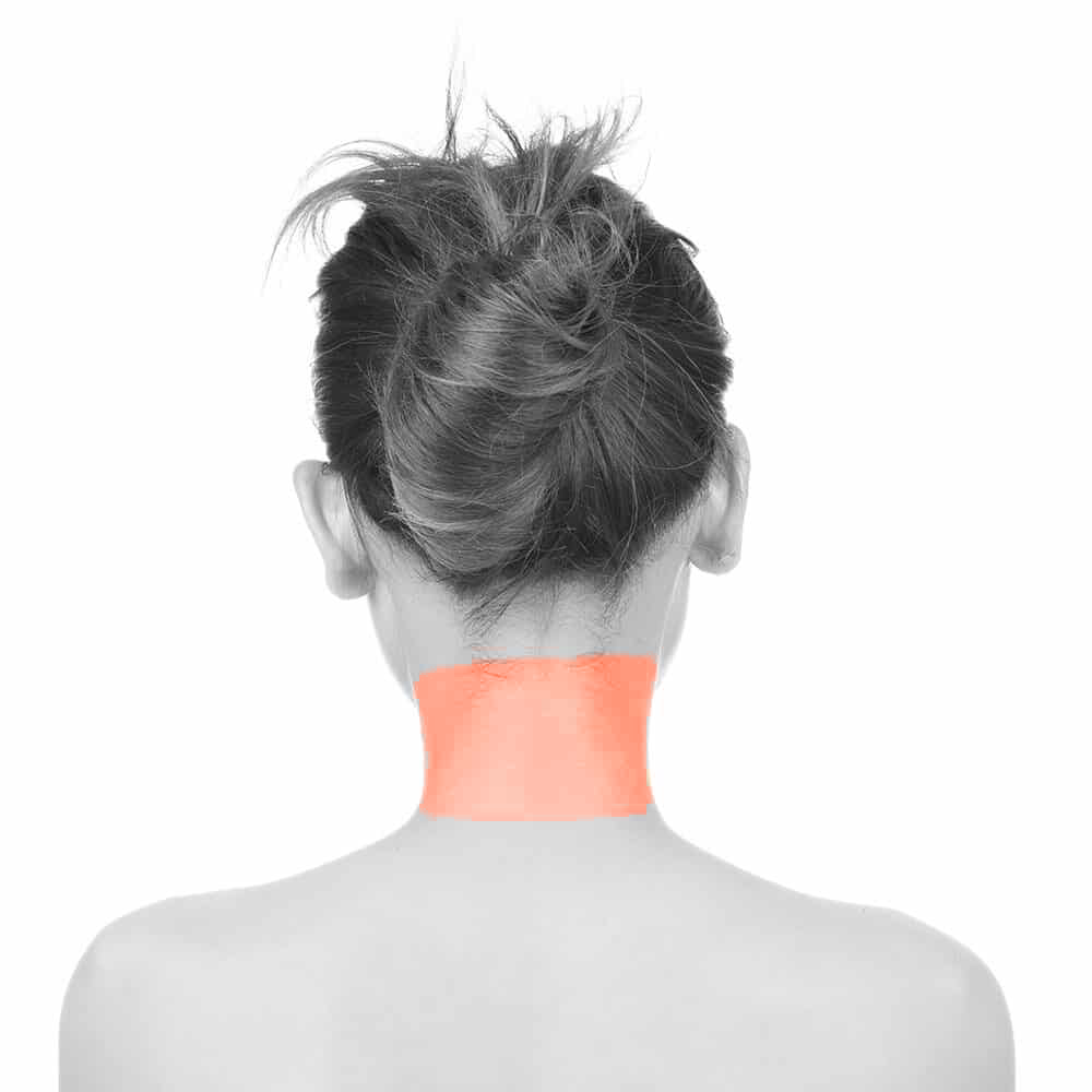 Back of the online neck
